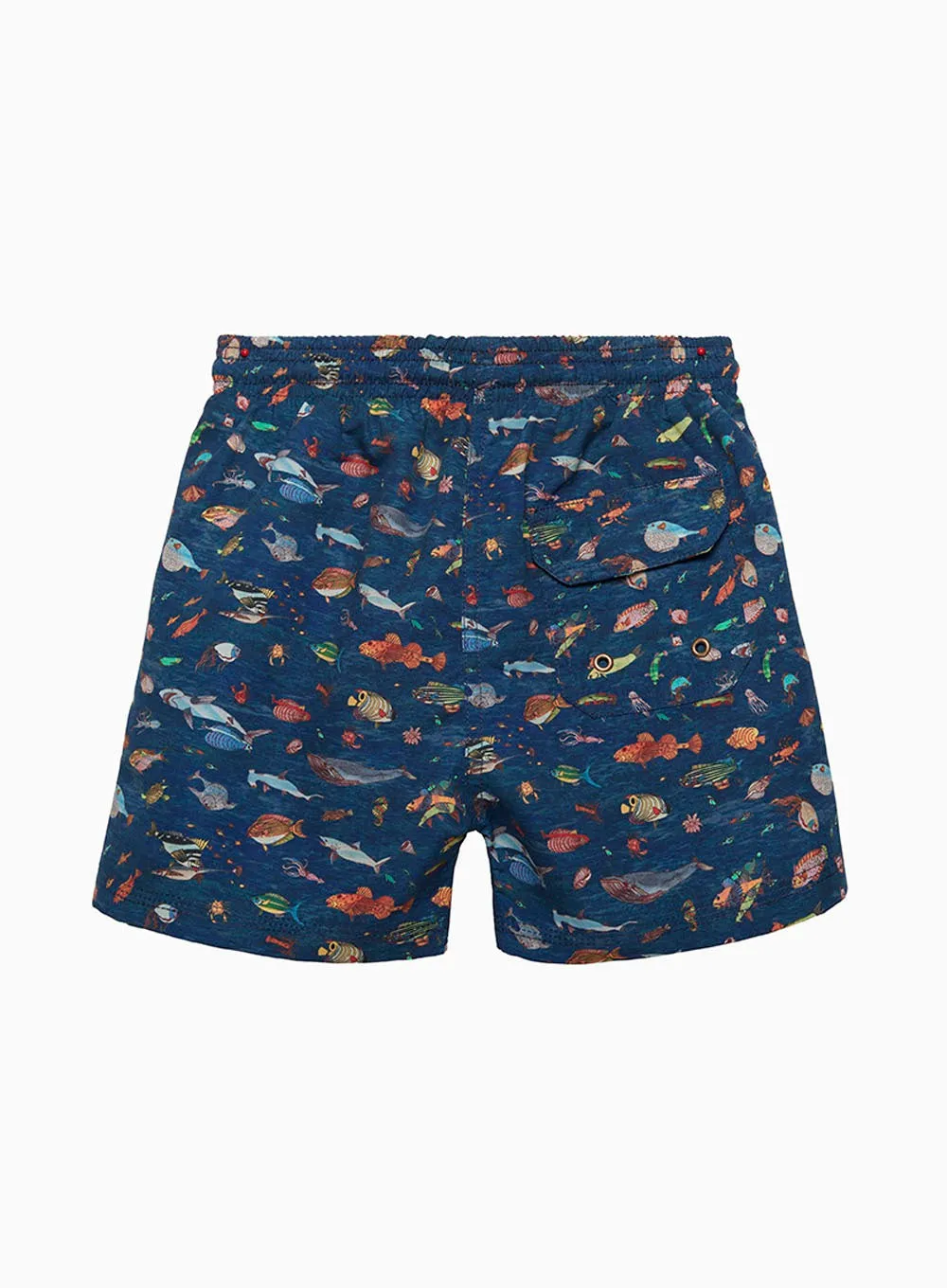 Boys Swimshorts in Aquarium