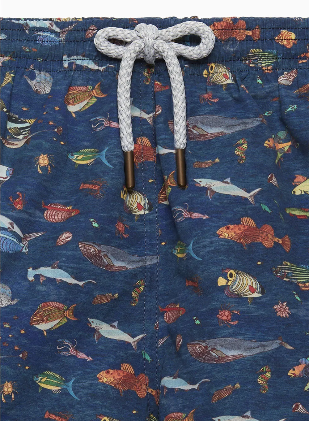 Boys Swimshorts in Aquarium
