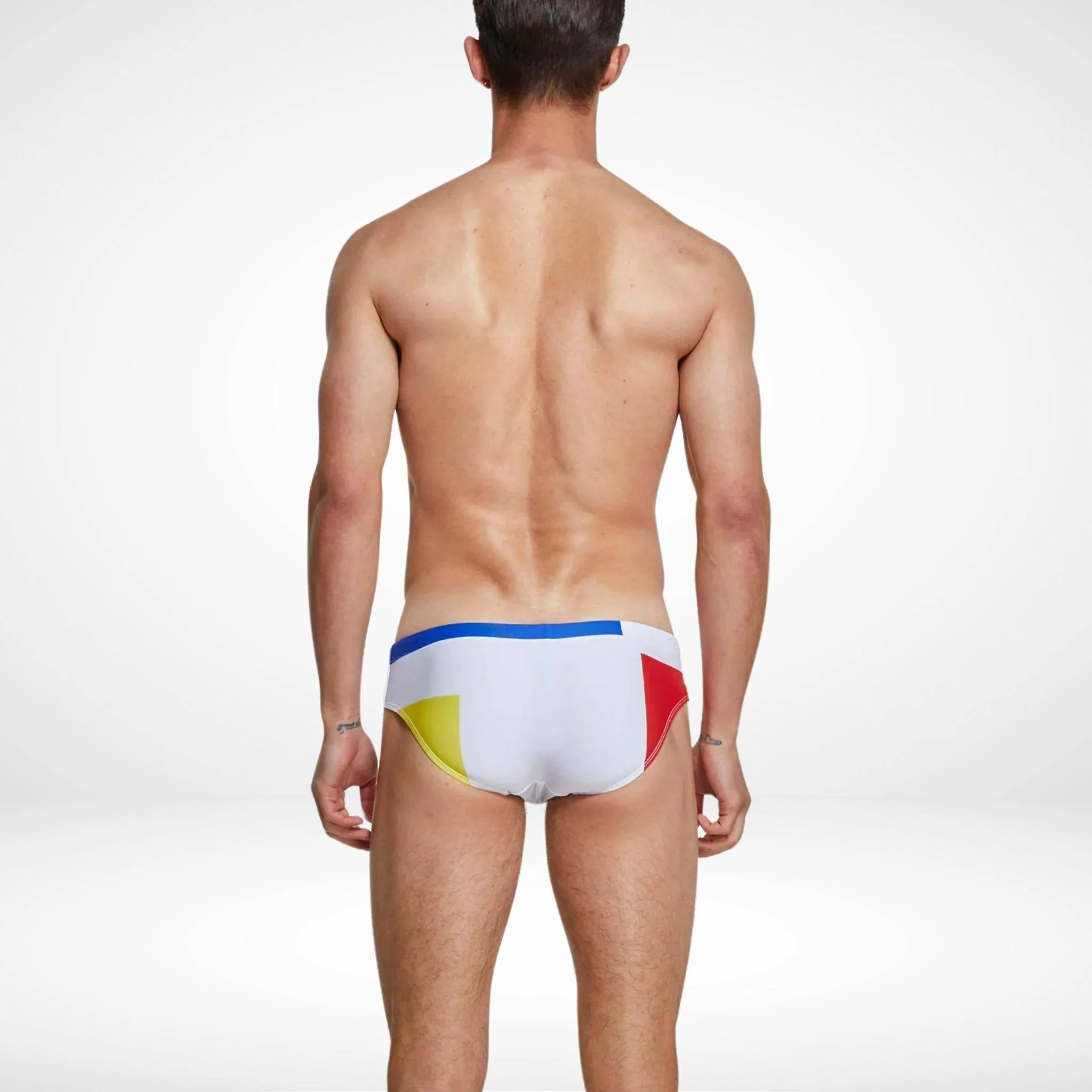 Tricolor Geometric Swim Briefs