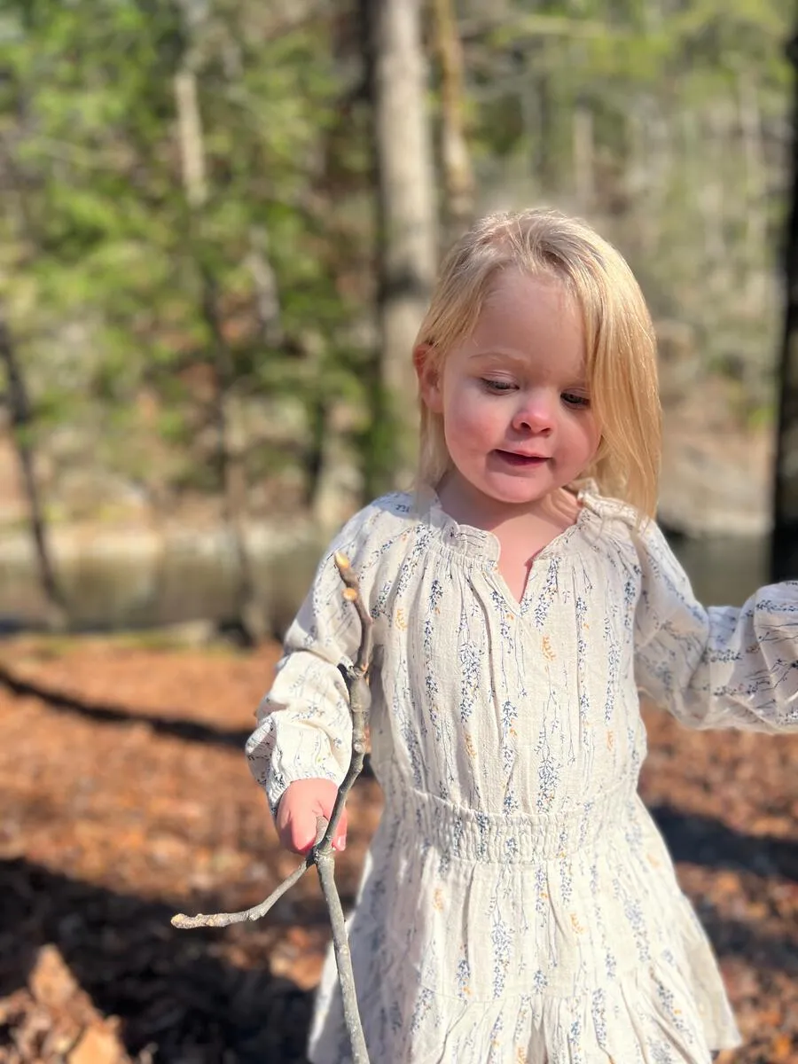 Vignette Willow | Tan Twiggy Print Dress